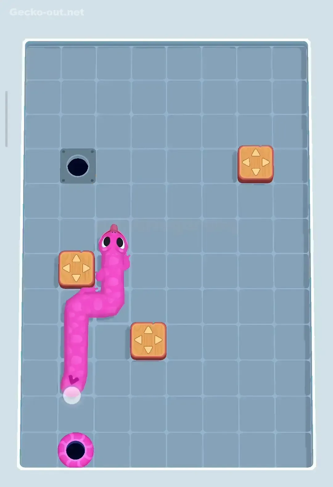 Gecko Out Level 232 Solution 3