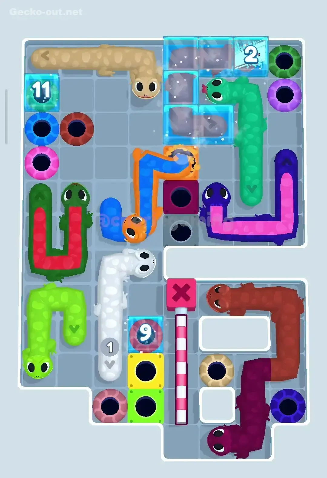 Gecko Out Level 226 Solution 2