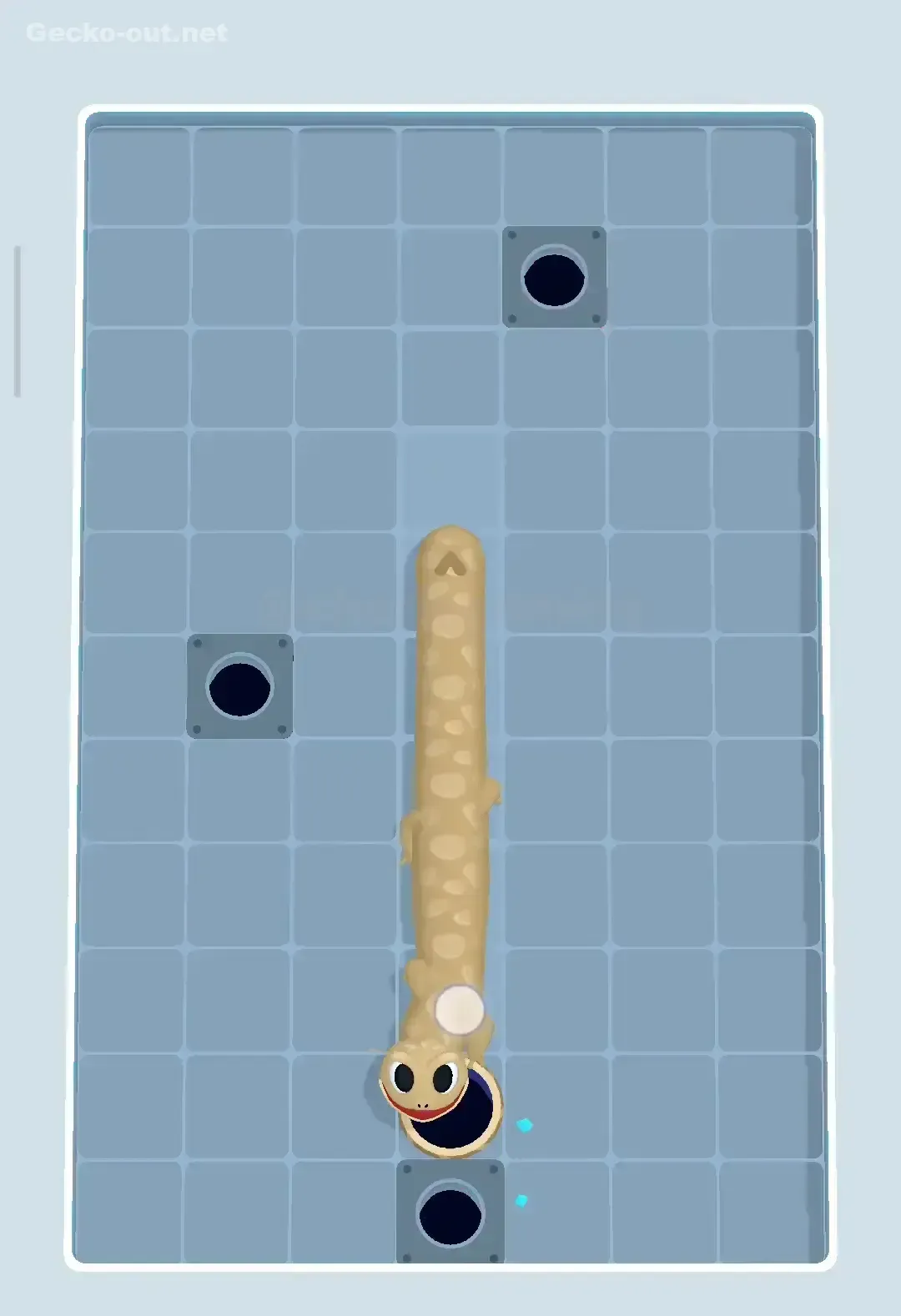 Gecko Out Level 225 Solution 3