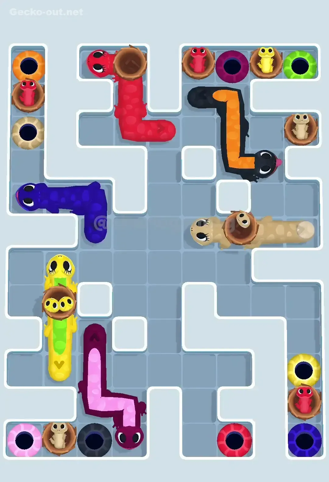 Gecko Out Level 625 Solution 2