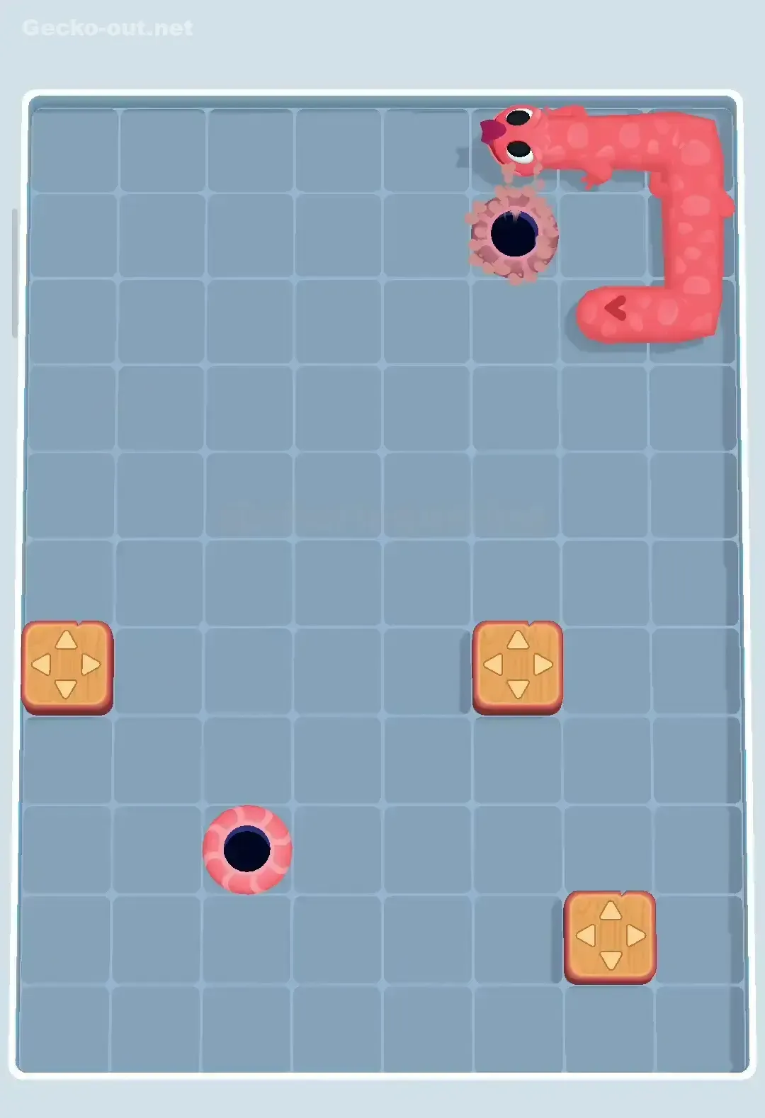 Gecko Out Level 220 Solution 3