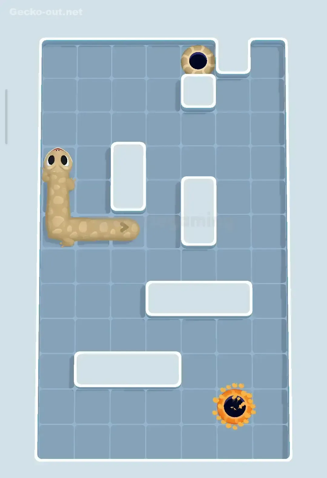 Gecko Out Level 218 Solution 3