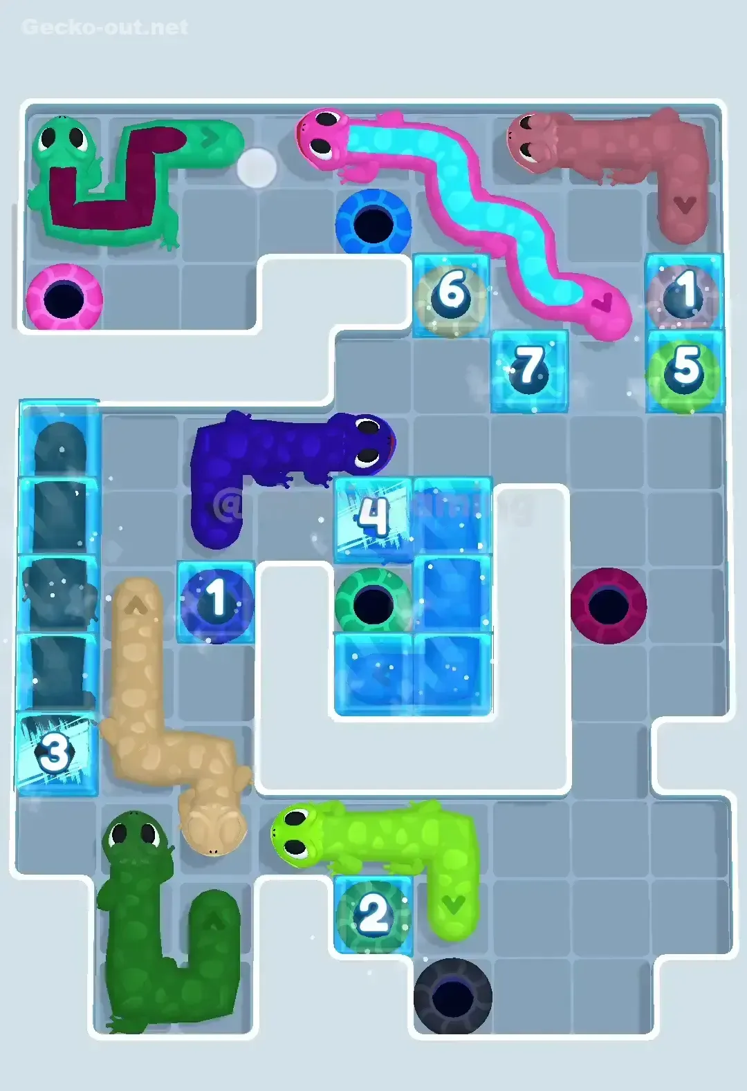 Gecko Out Level 219 Solution 2