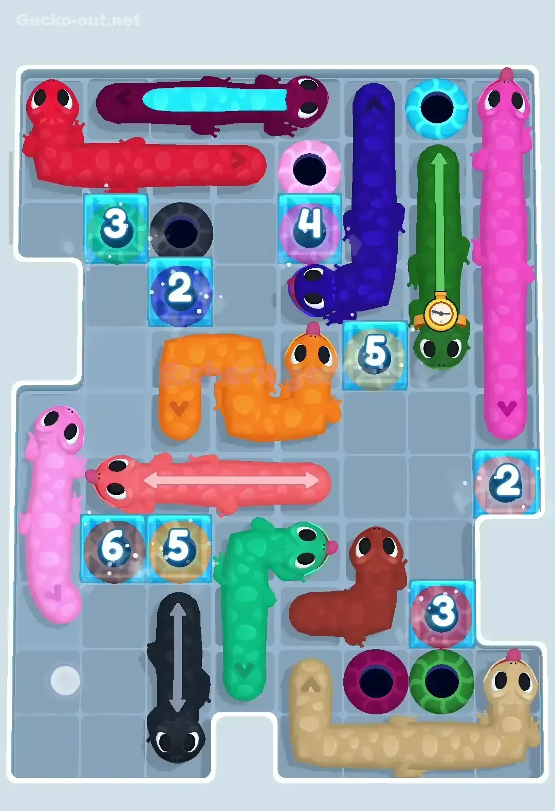 Gecko Out Level 215 Solution 3