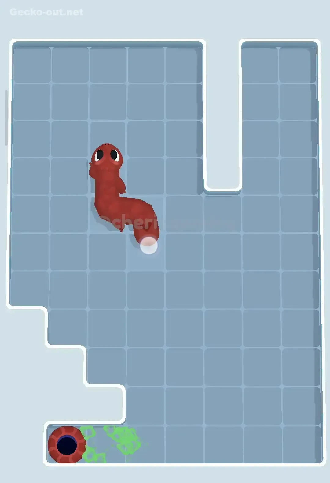 Gecko Out Level 205 Solution 3