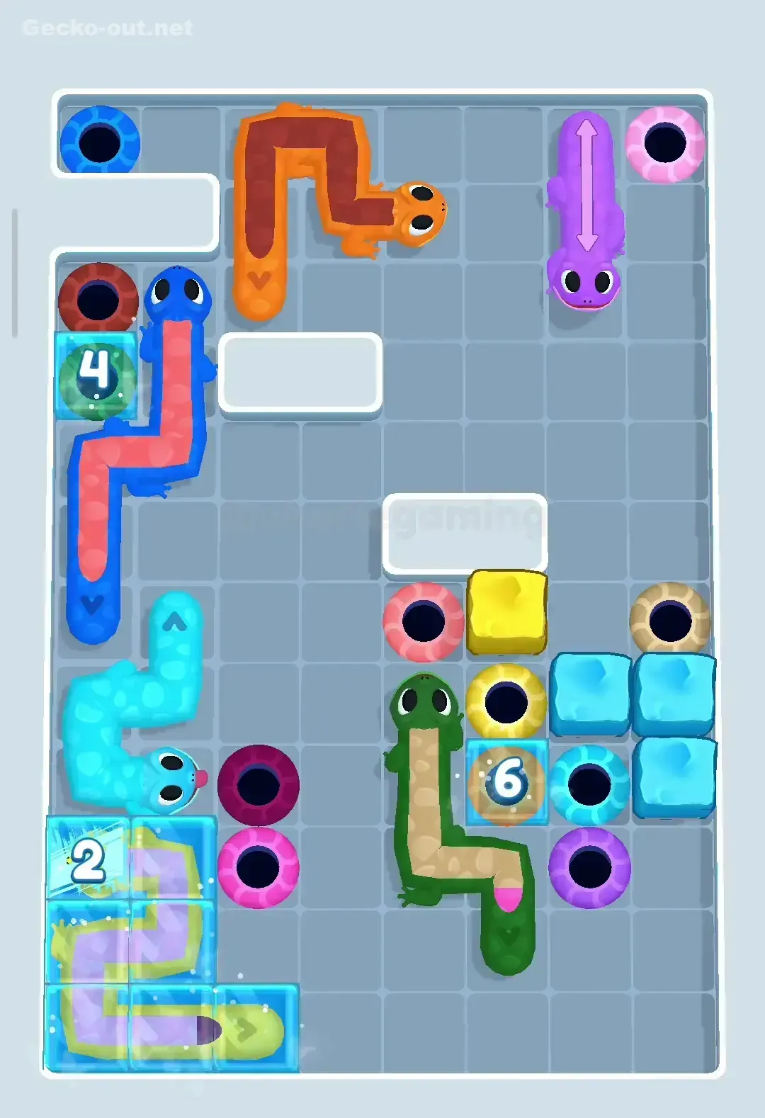 Gecko Out Level 202 Solution 2