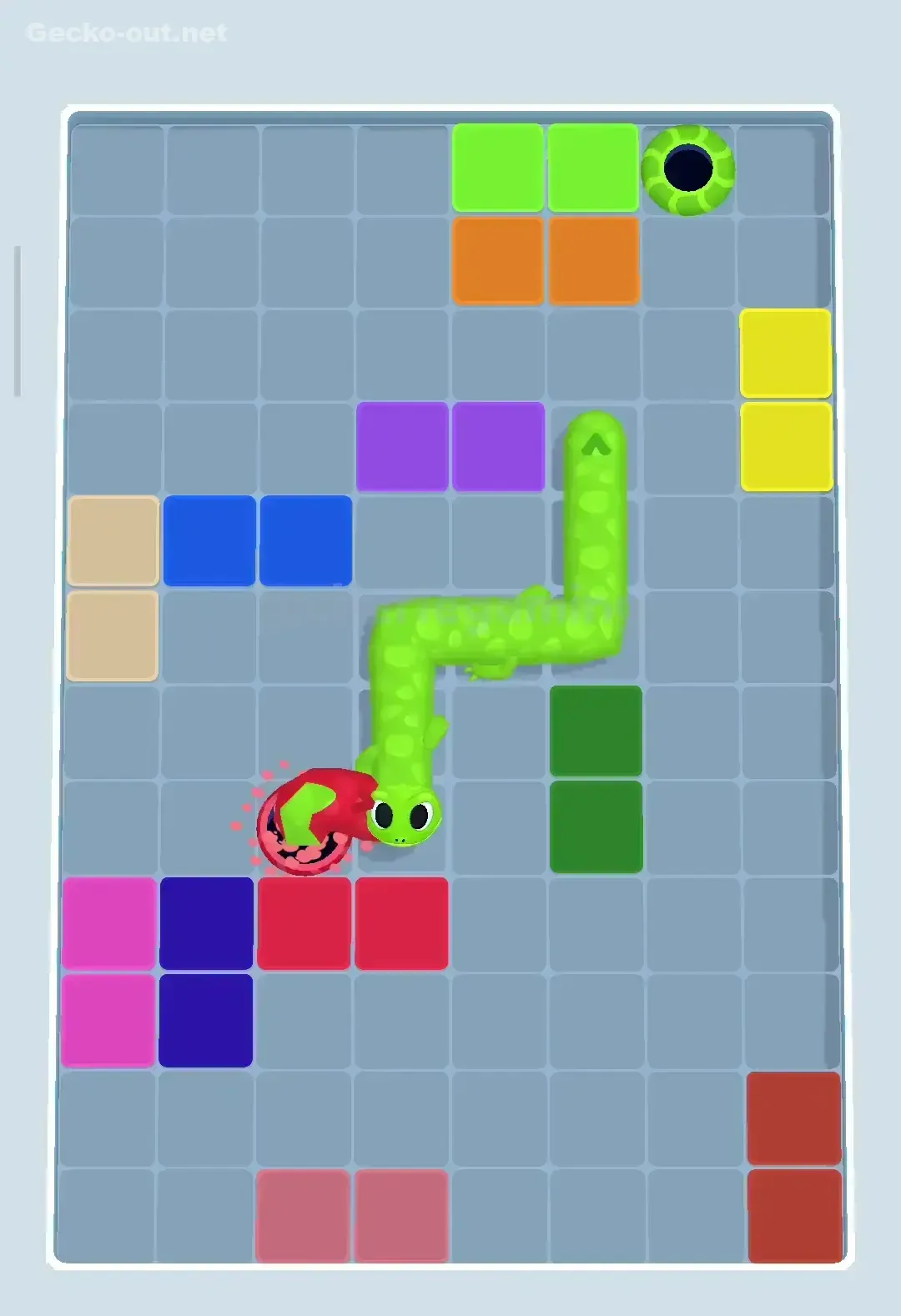 Gecko Out Level 186 Solution 3