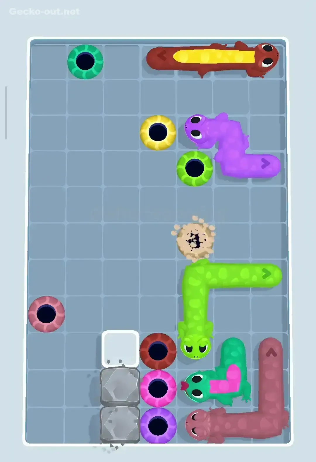 Gecko Out Level 182 Solution 2