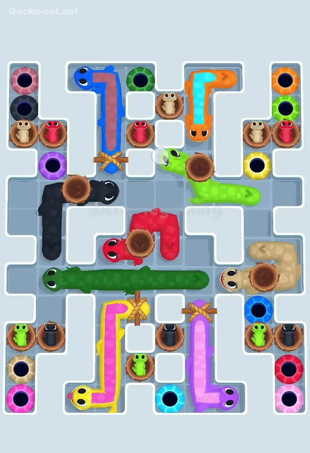 Gecko Out Level 617 Solution 2
