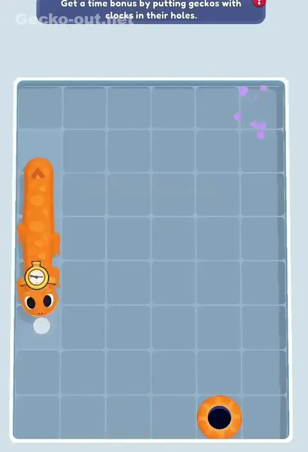 Gecko Out Level 173 Solution 3