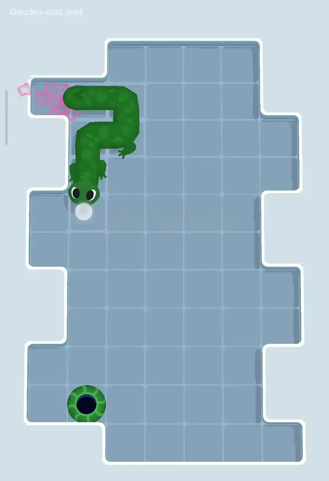 Gecko Out Level 170 Solution 3