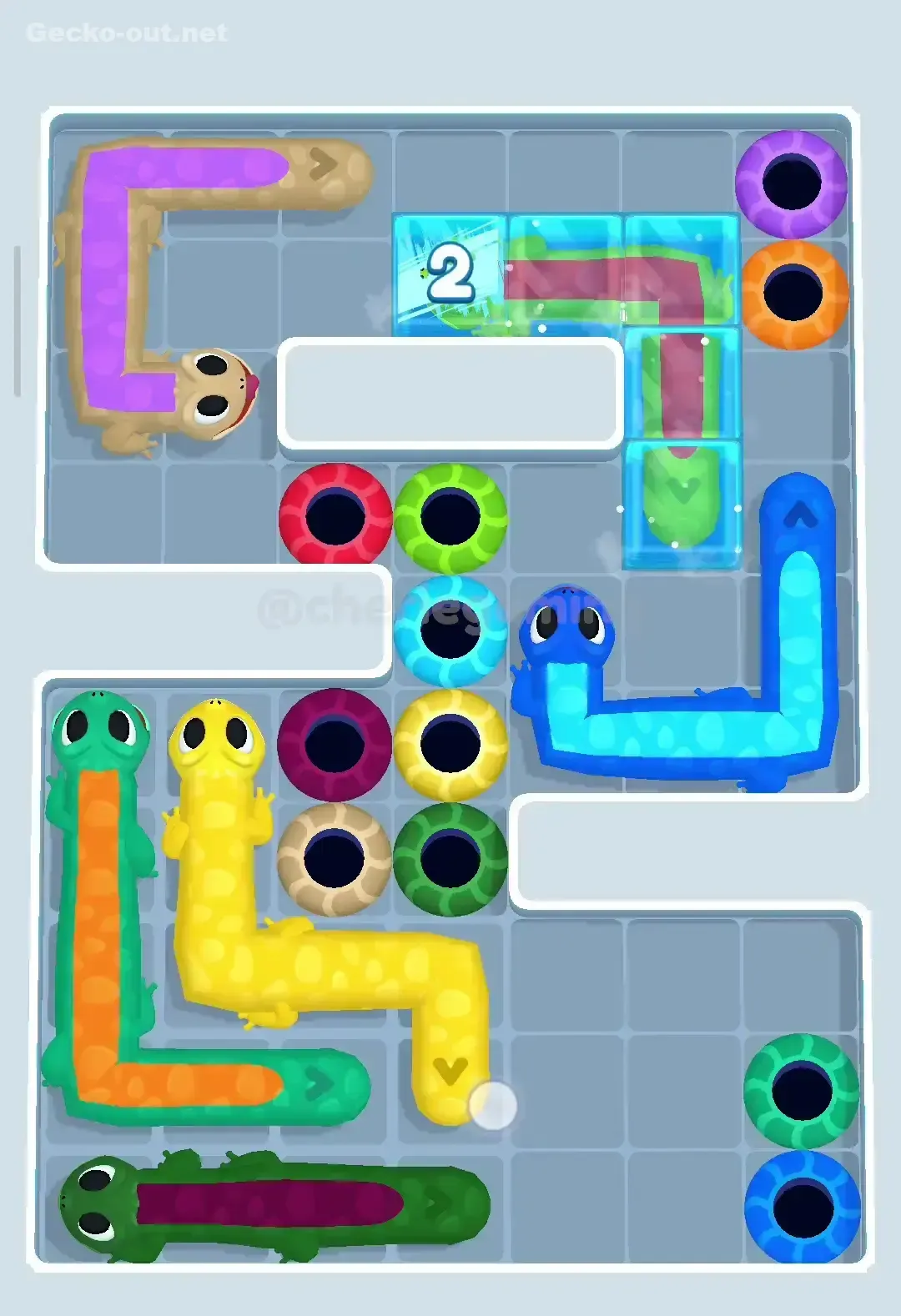 Gecko Out Level 162 Solution 1