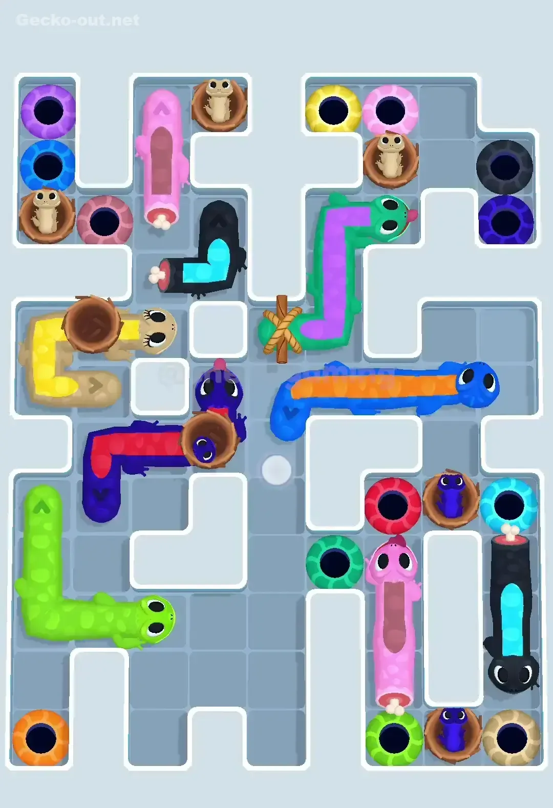 Gecko Out Level 619 Solution 1