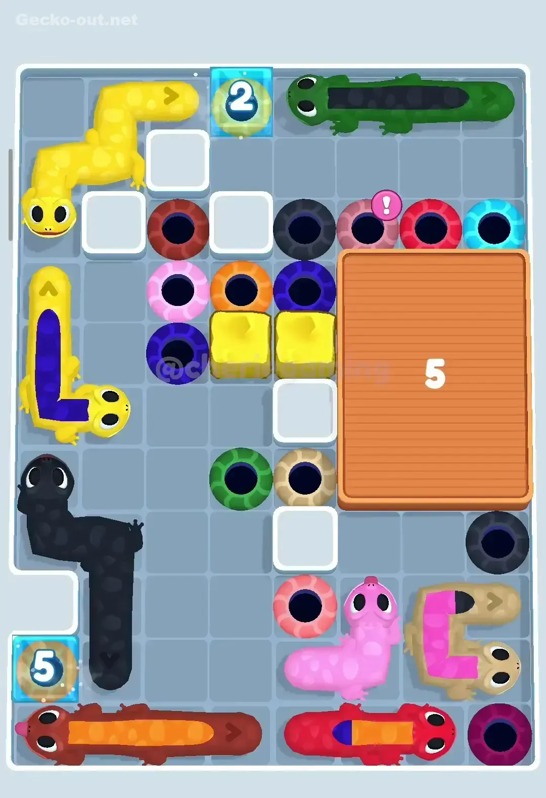 Gecko Out Level 161 Solution 3