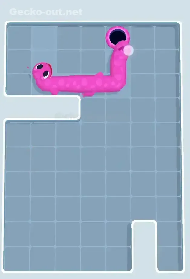 Gecko Out Level 156 Solution 3