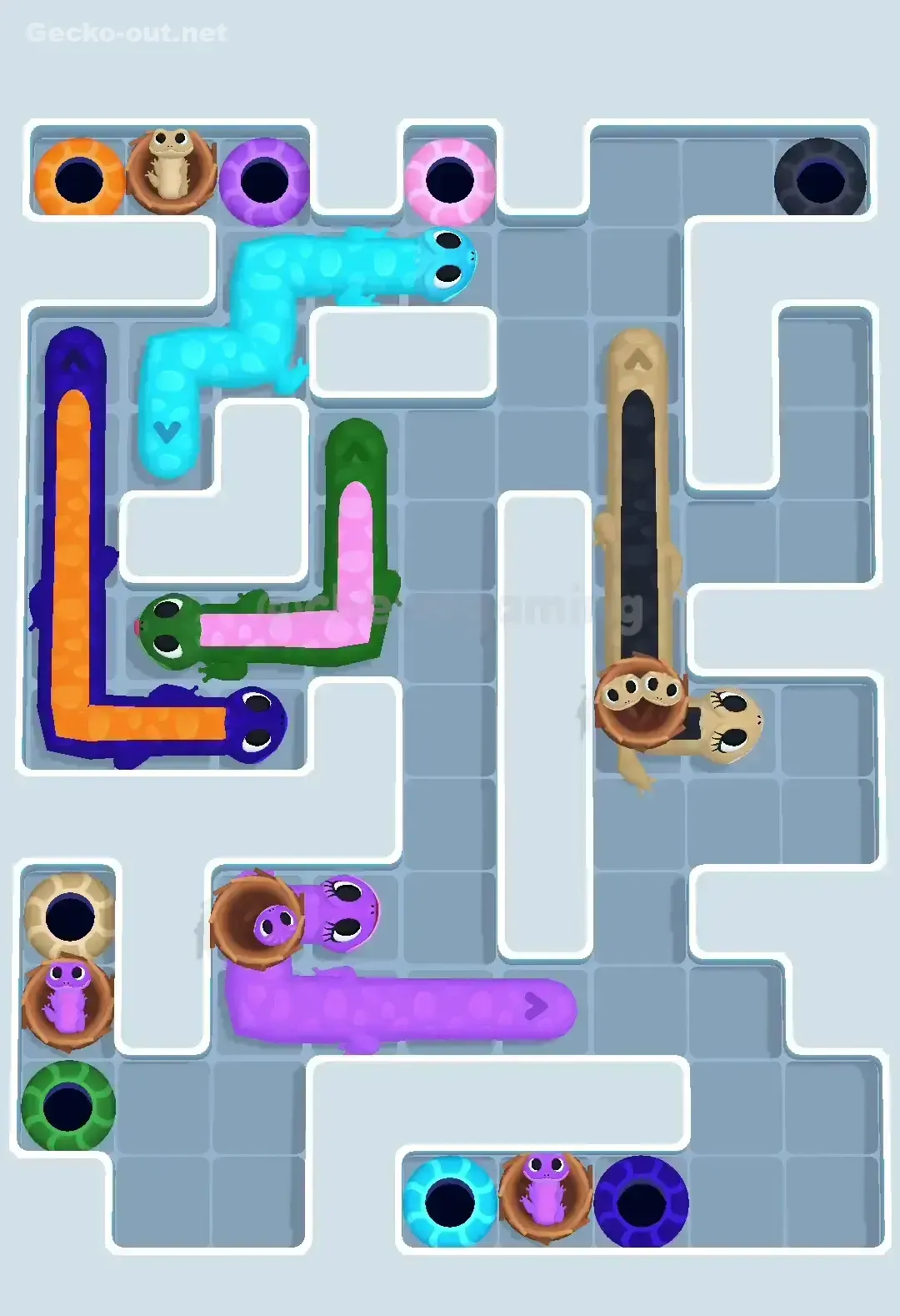 Gecko Out Level 616 Solution 3