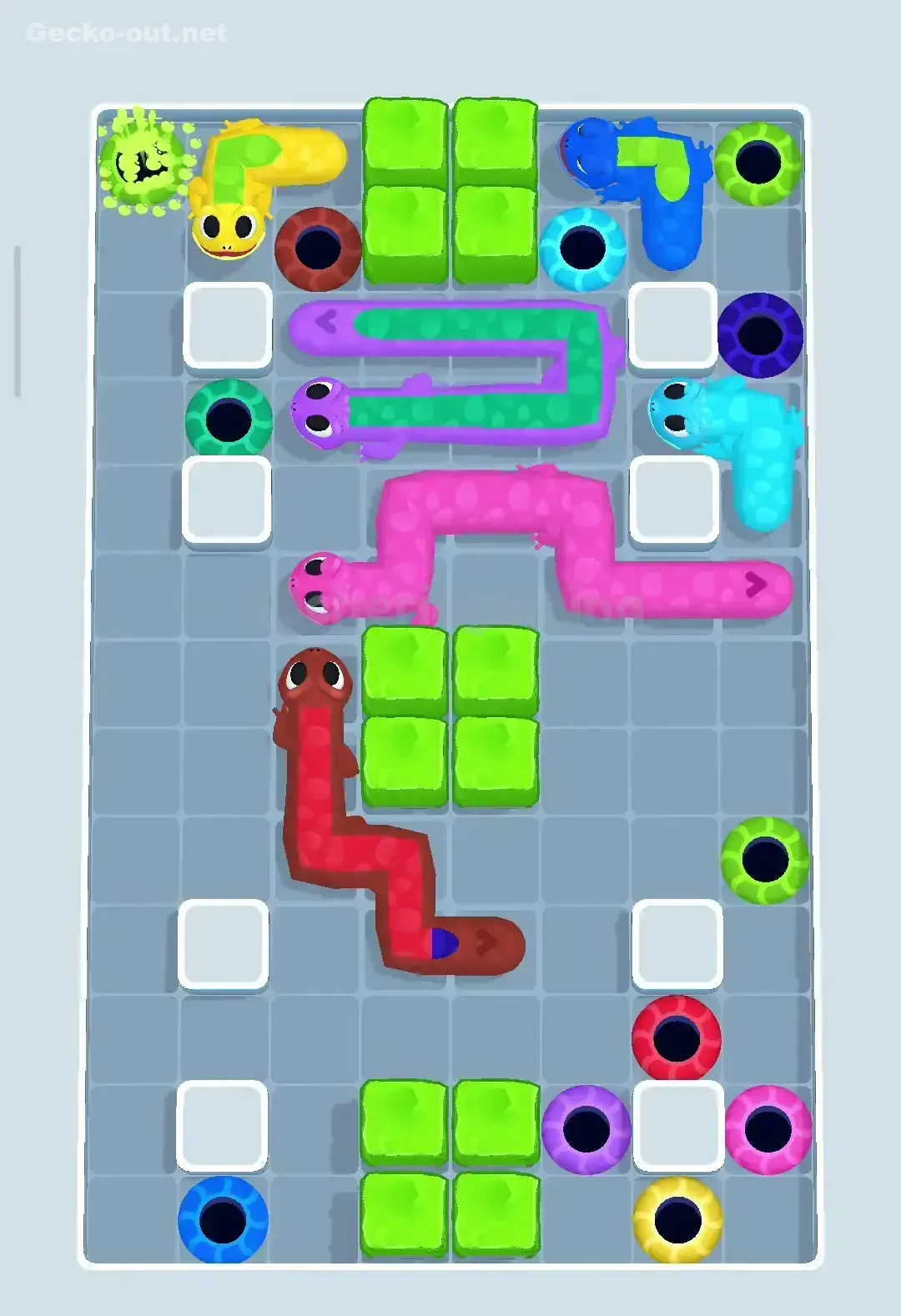 Gecko Out Level 109 Solution 2