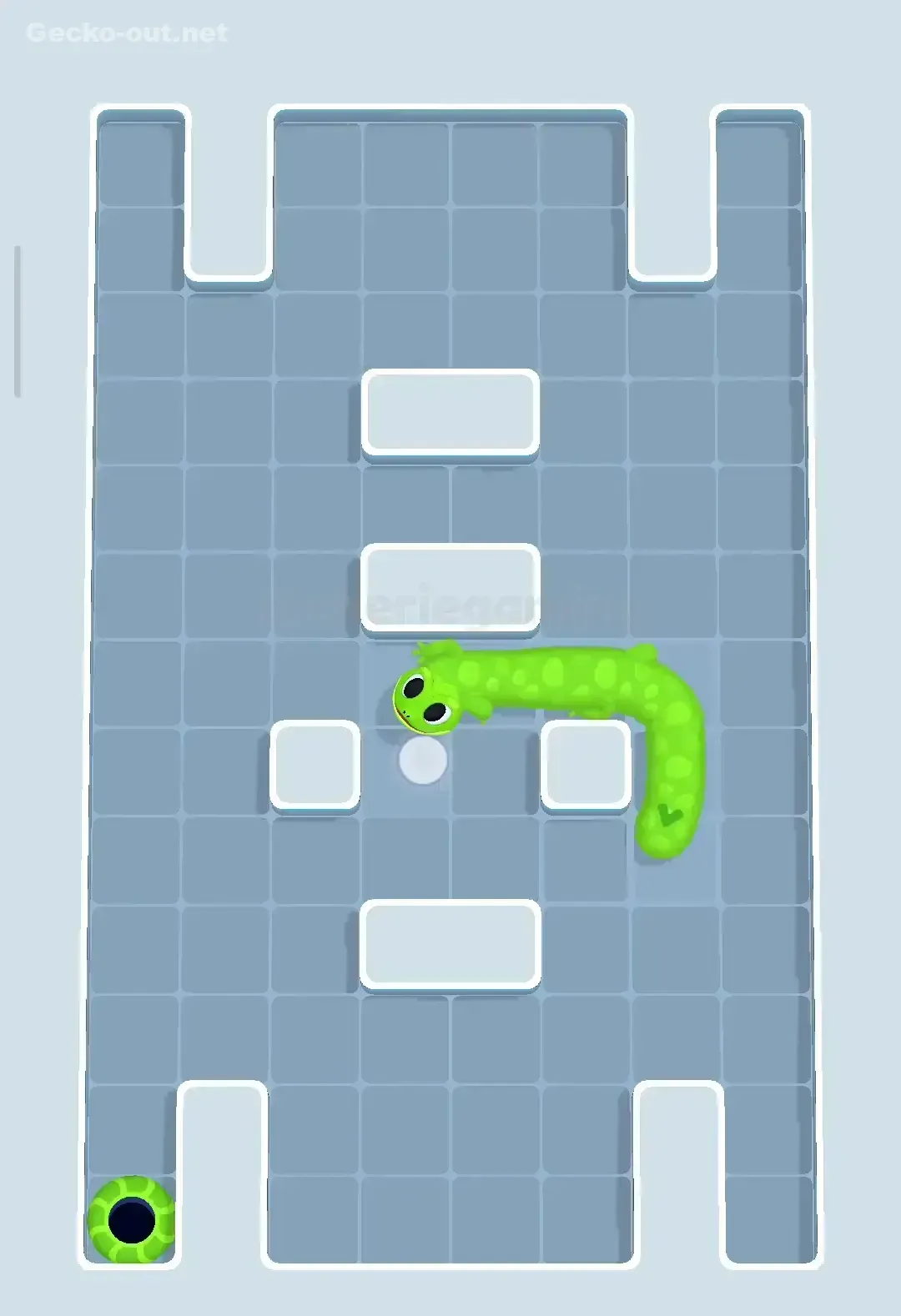 Gecko Out Level 100 Solution 3