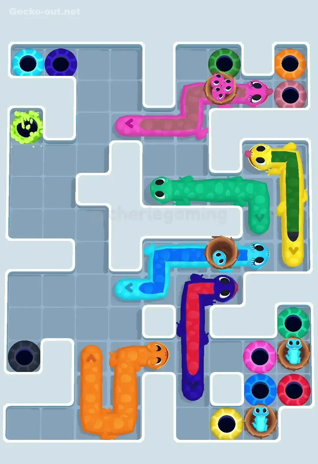 Gecko Out Level 612 Solution 2