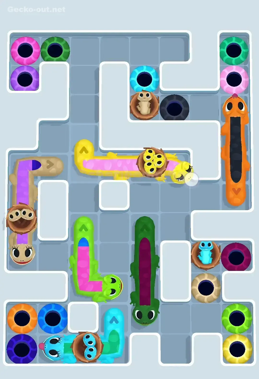 Gecko Out Level 611 Solution 2