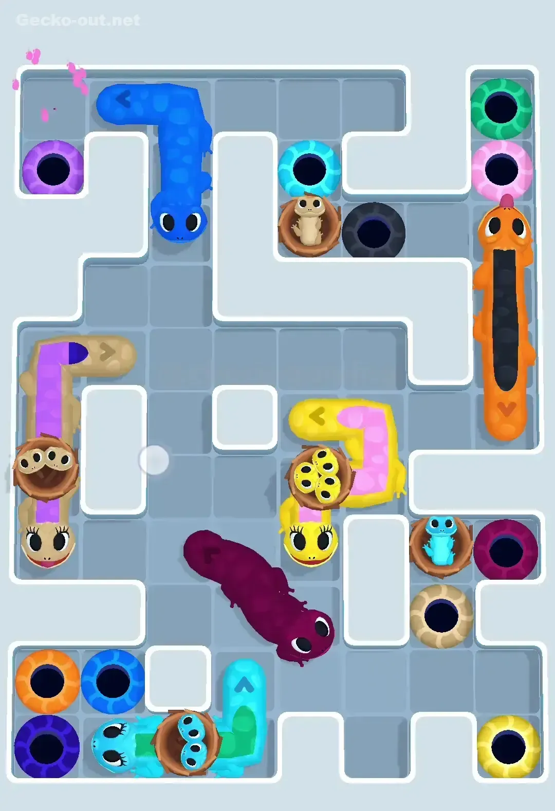 Gecko Out Level 611 Solution 3