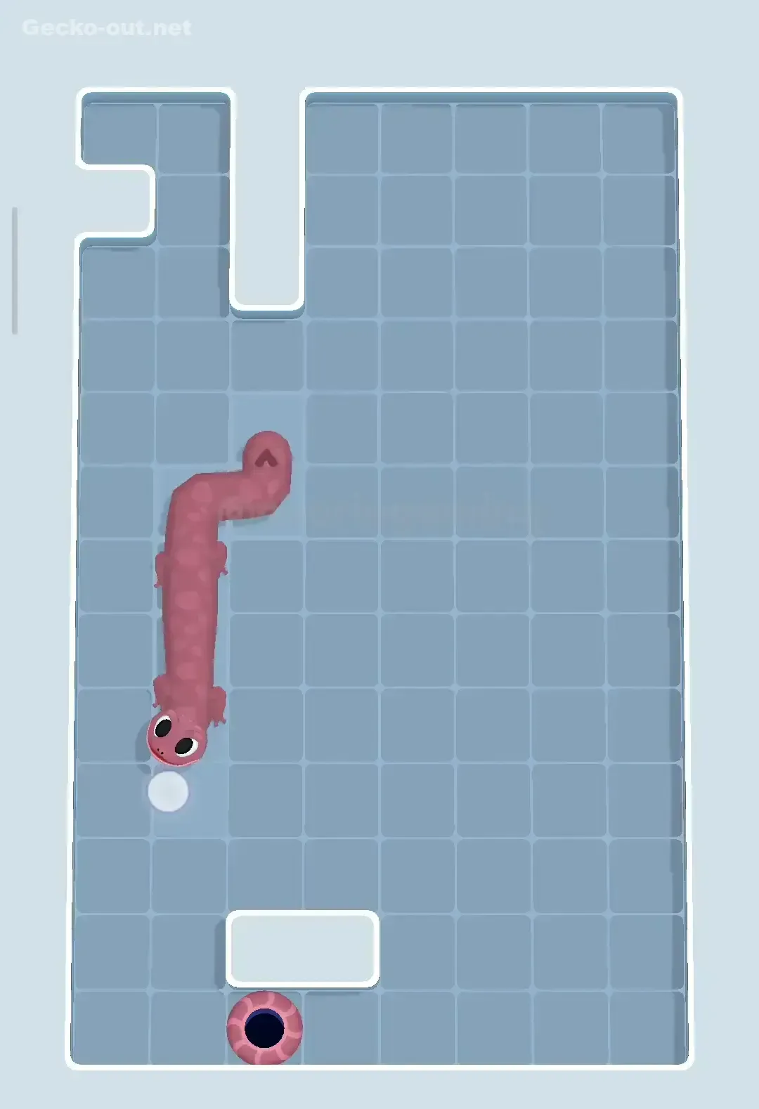 Gecko Out Level 72 Solution 3