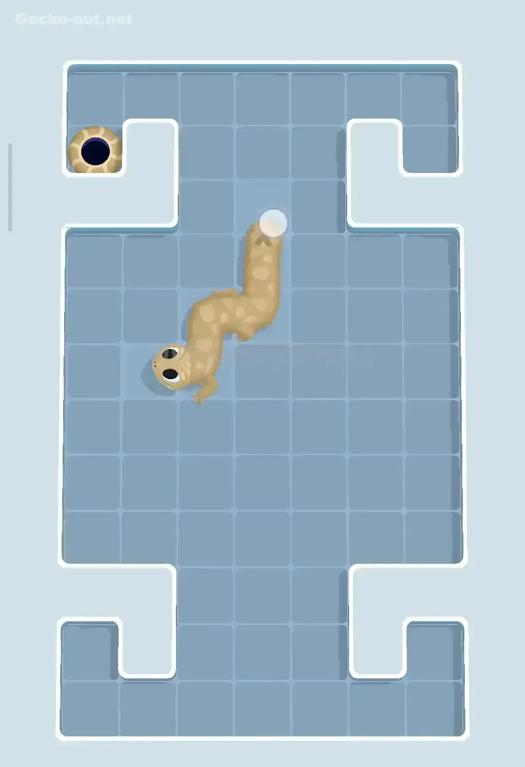 Gecko Out Level 68 Solution 3