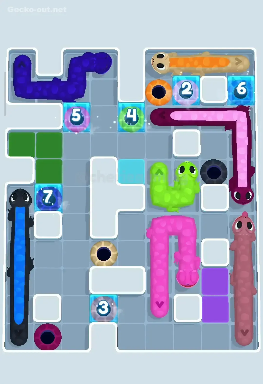 Gecko Out Level 65 Solution 3