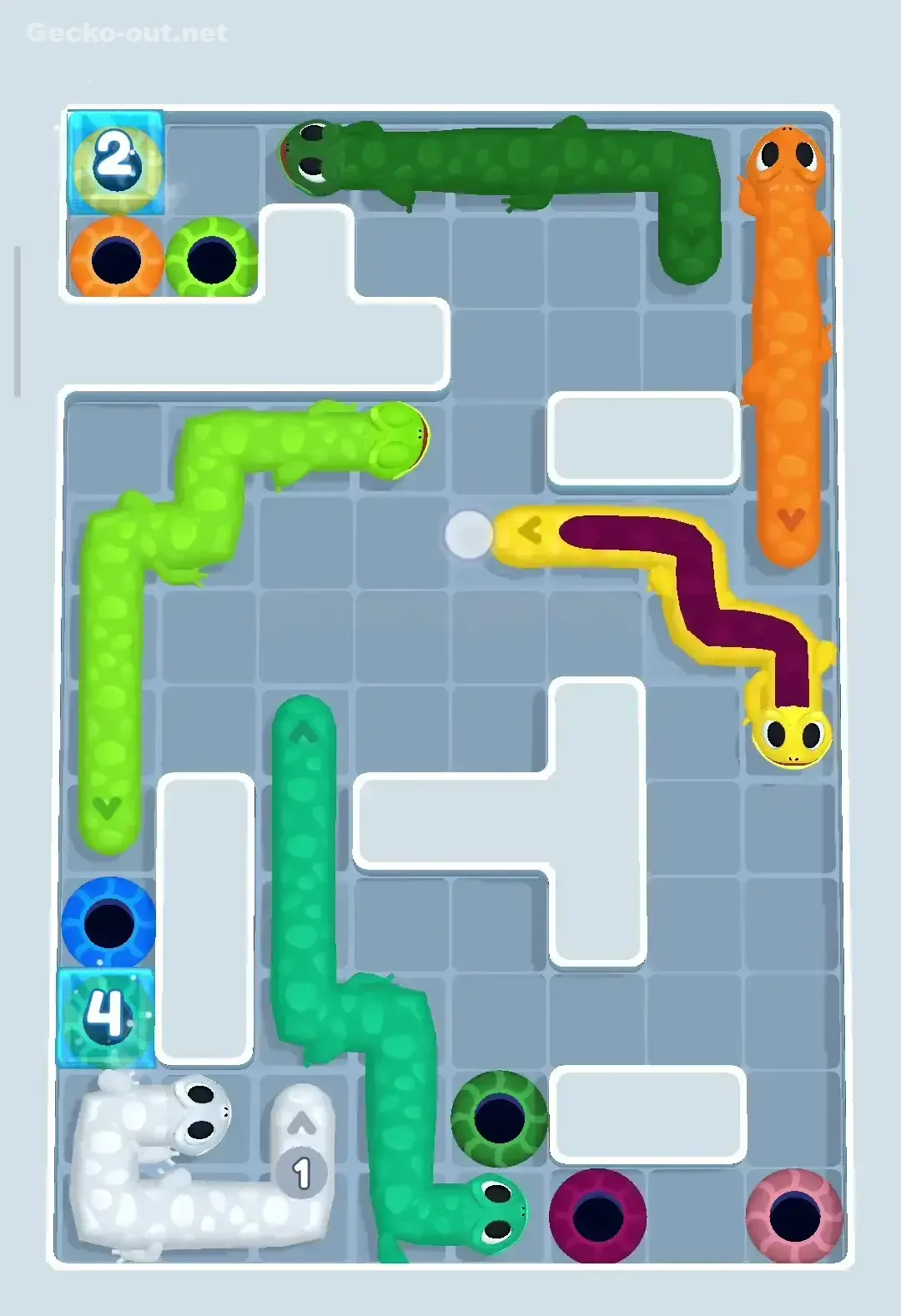 Gecko Out Level 50 Solution 3
