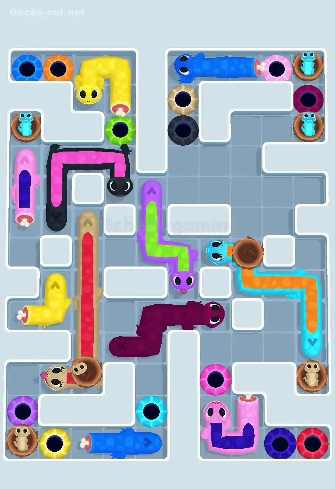 Gecko Out Level 609 Solution 2