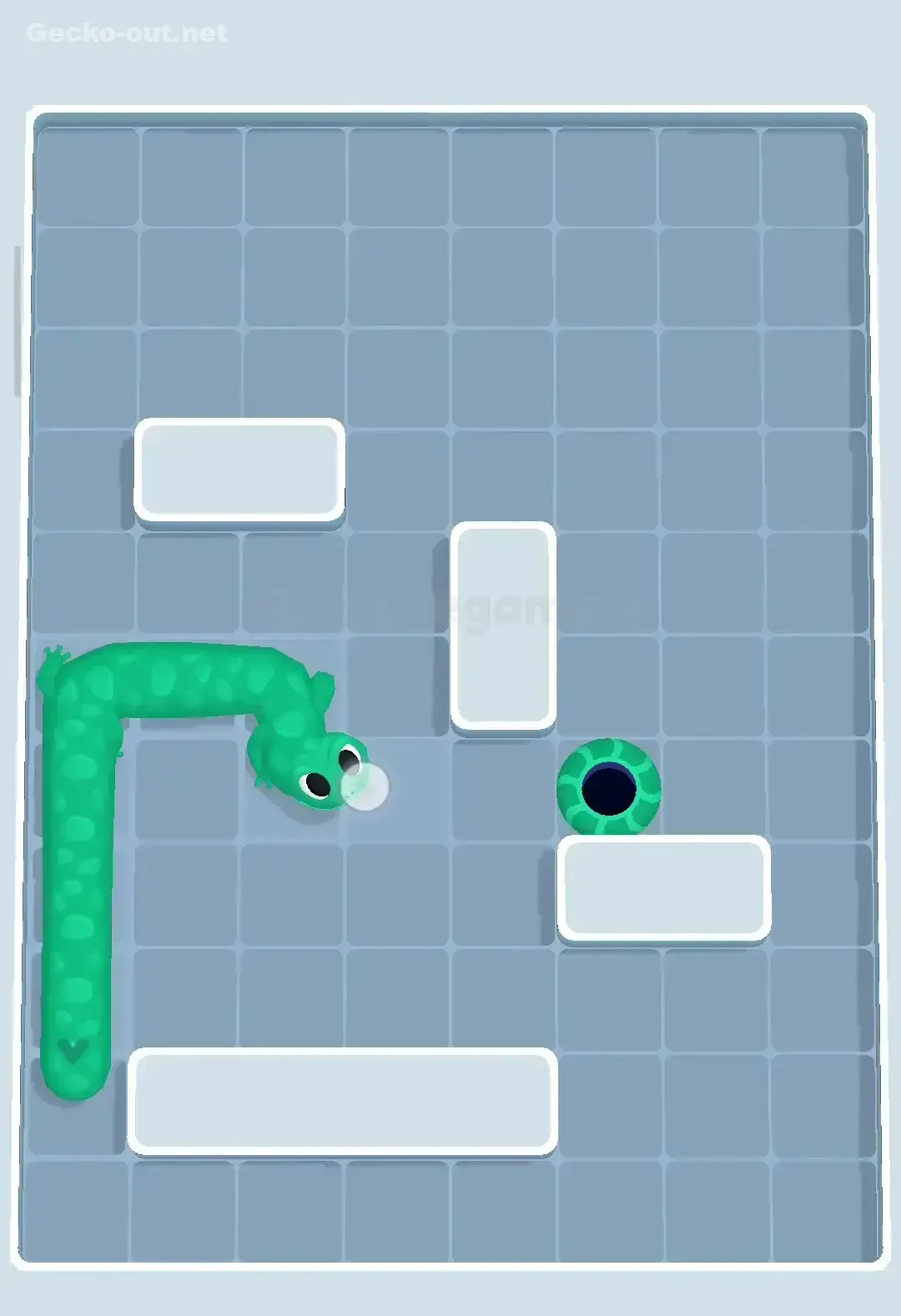 Gecko Out Level 48 Solution 3