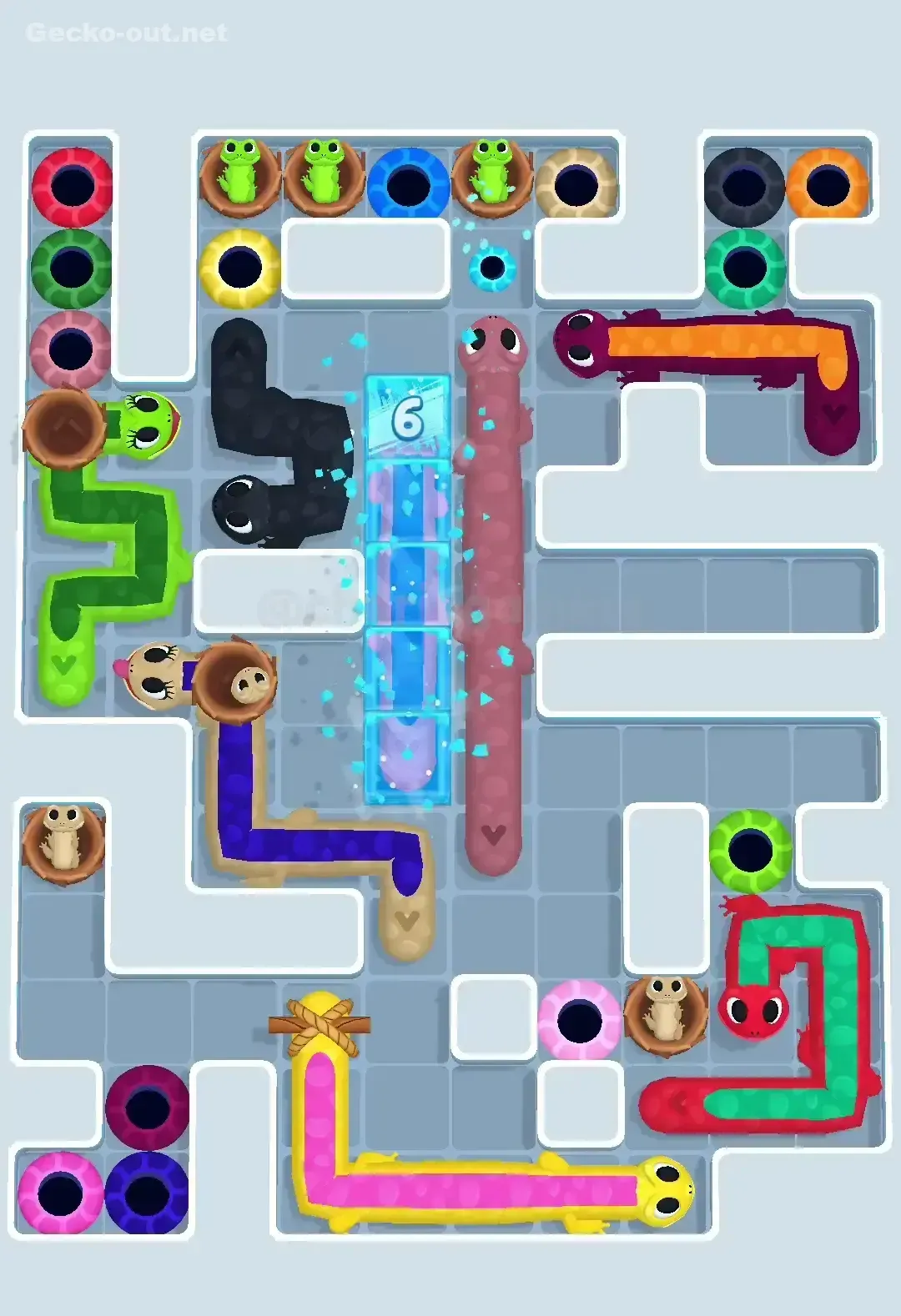 Gecko Out Level 608 Solution 2