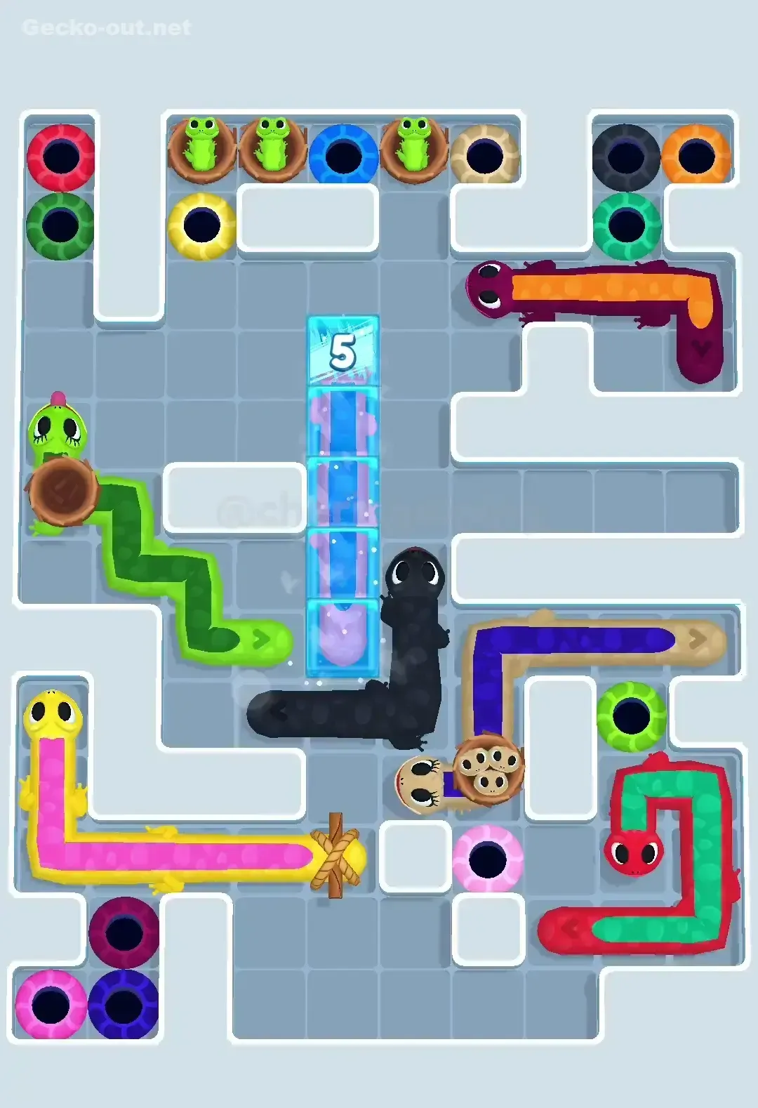 Gecko Out Level 608 Solution 3