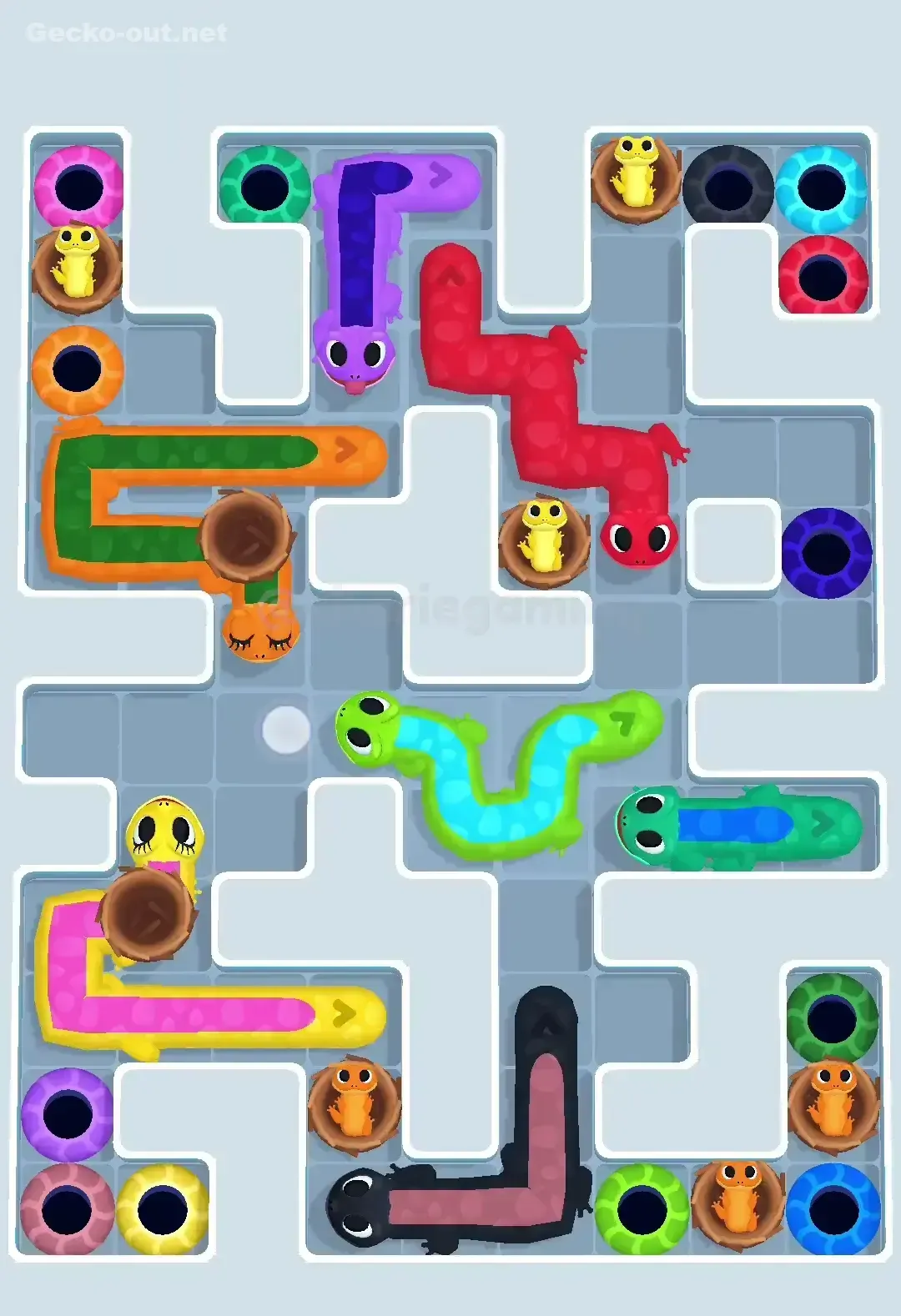 Gecko Out Level 607 Solution 2