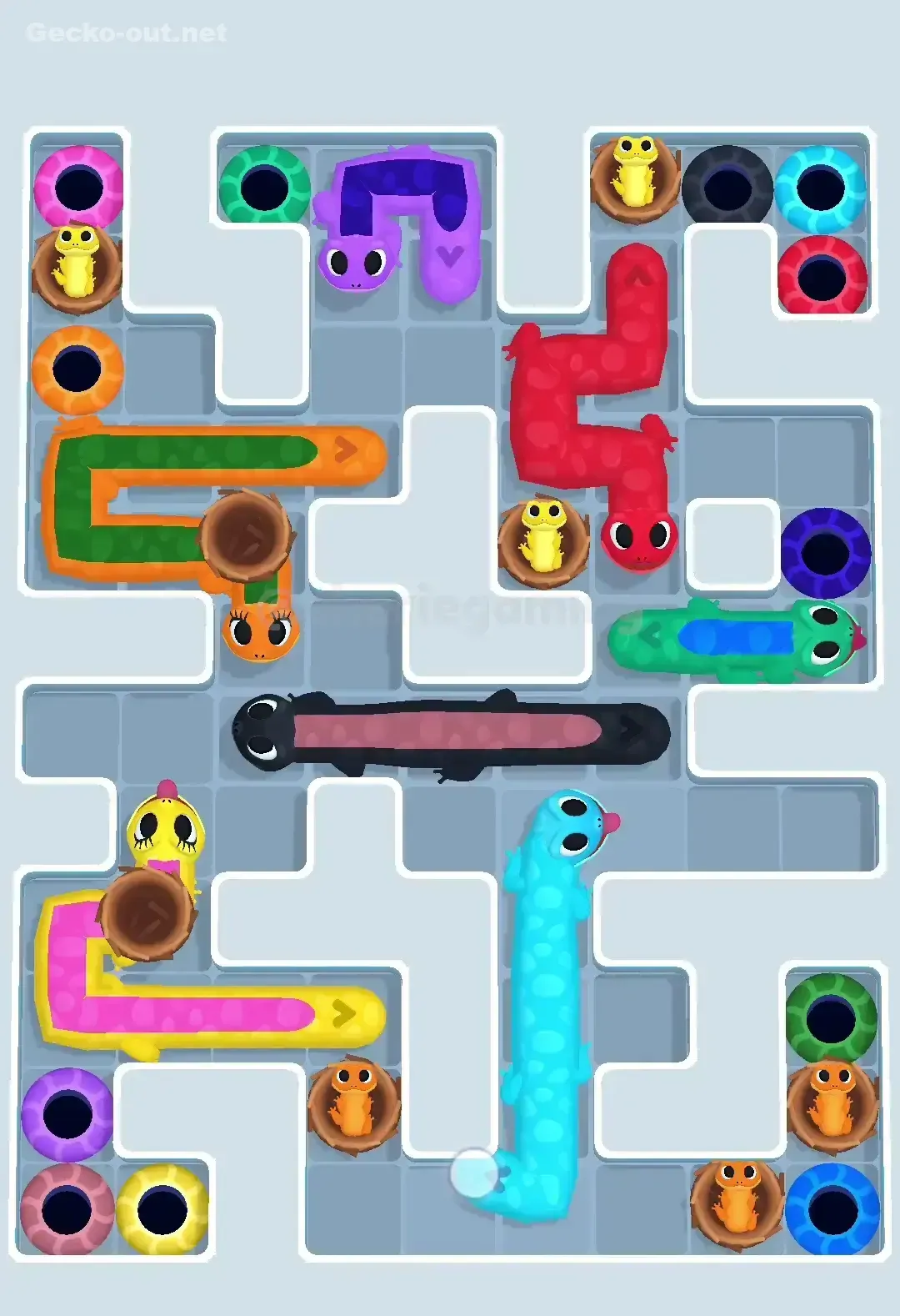 Gecko Out Level 607 Solution 3