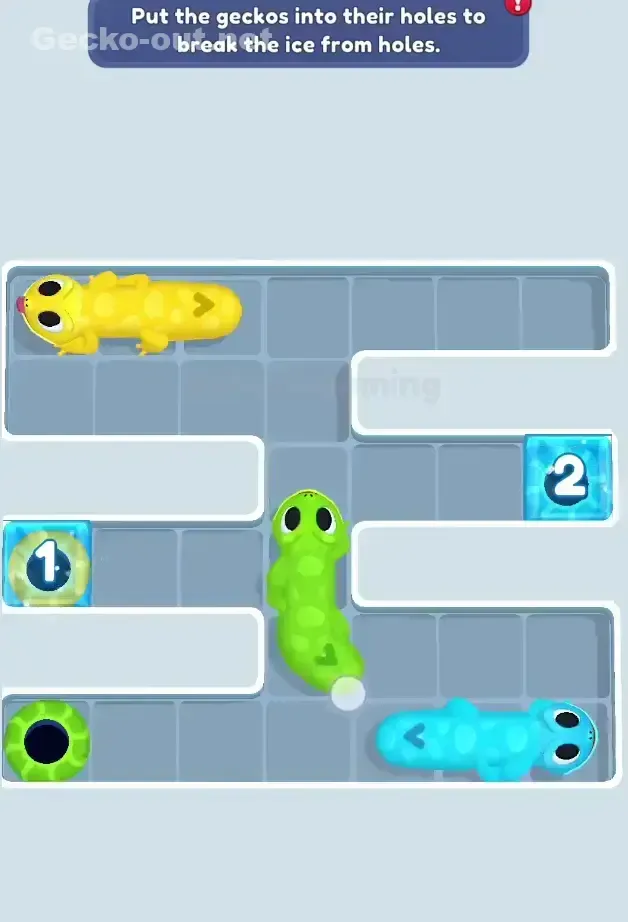Gecko Out Level 24 Solution 2