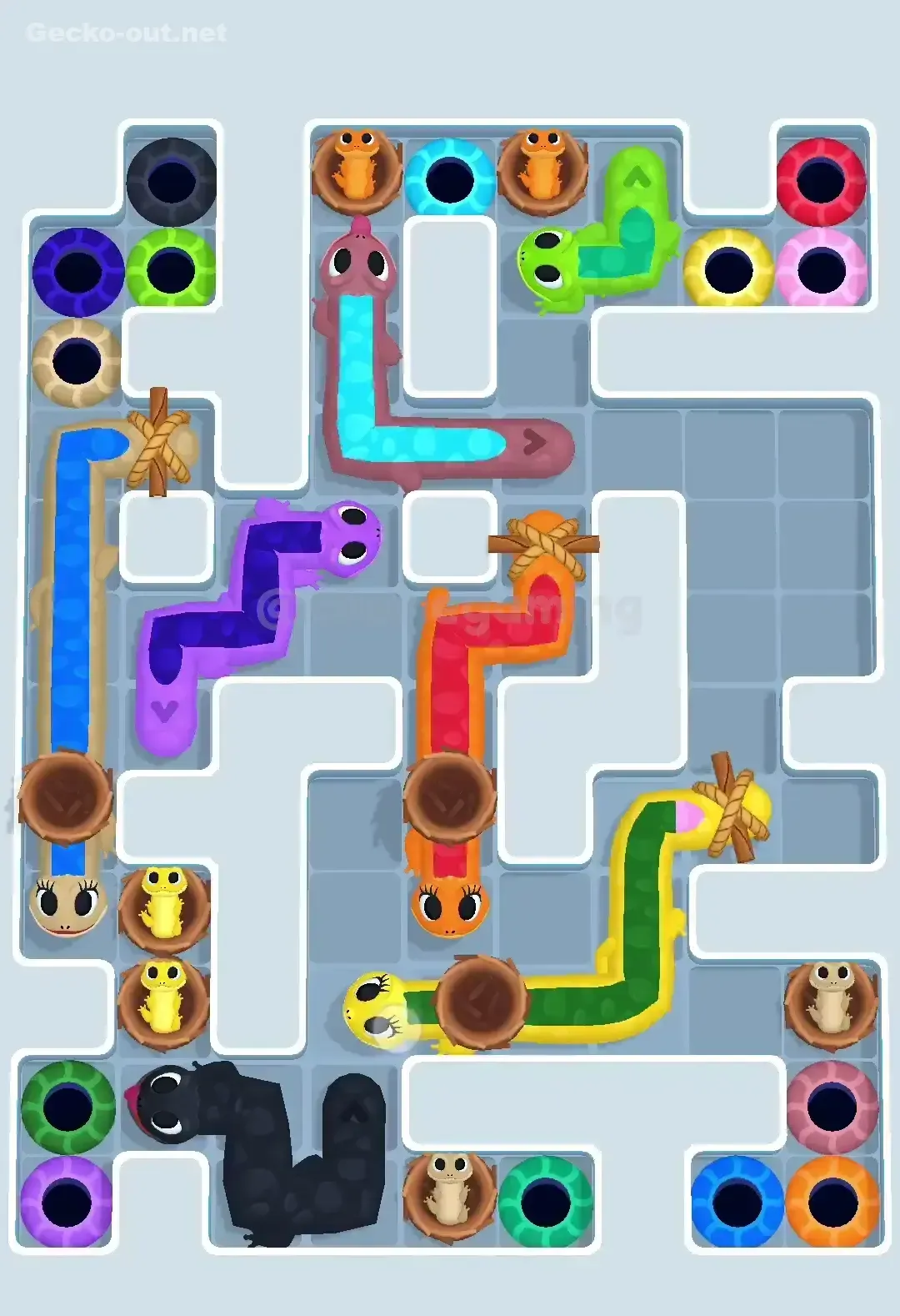 Gecko Out Level 606 Solution 2