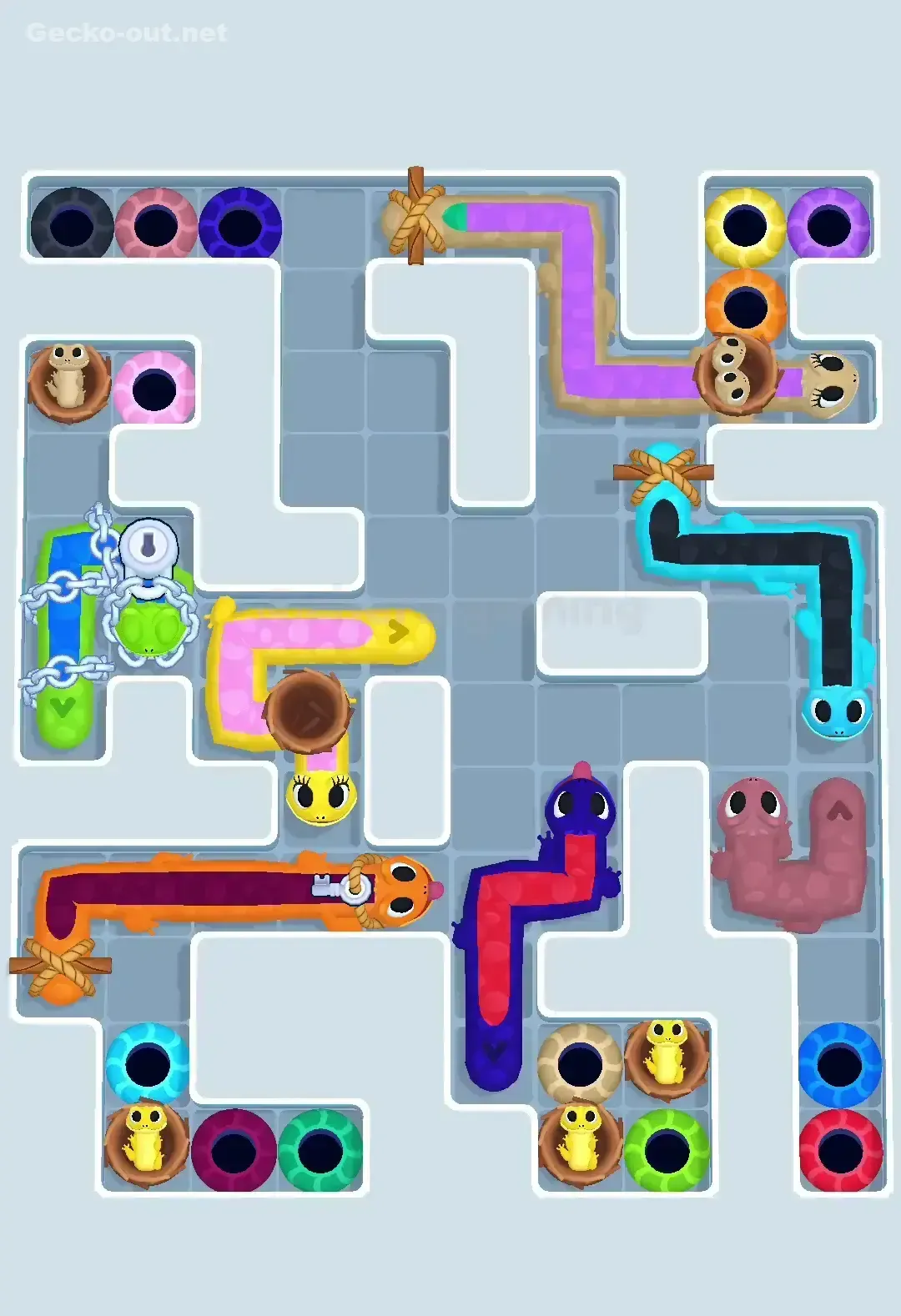 Gecko Out Level 605 Solution 2