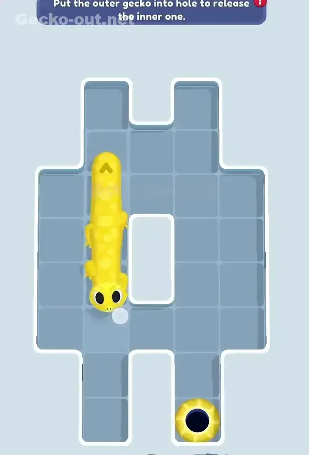 Gecko Out Level 12 Solution 3