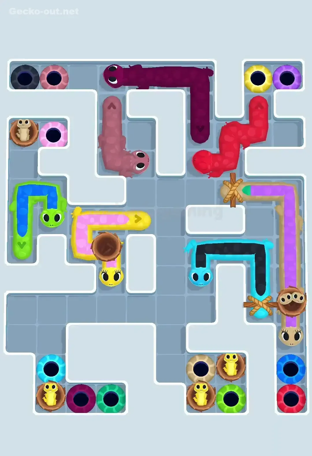 Gecko Out Level 605 Solution 3