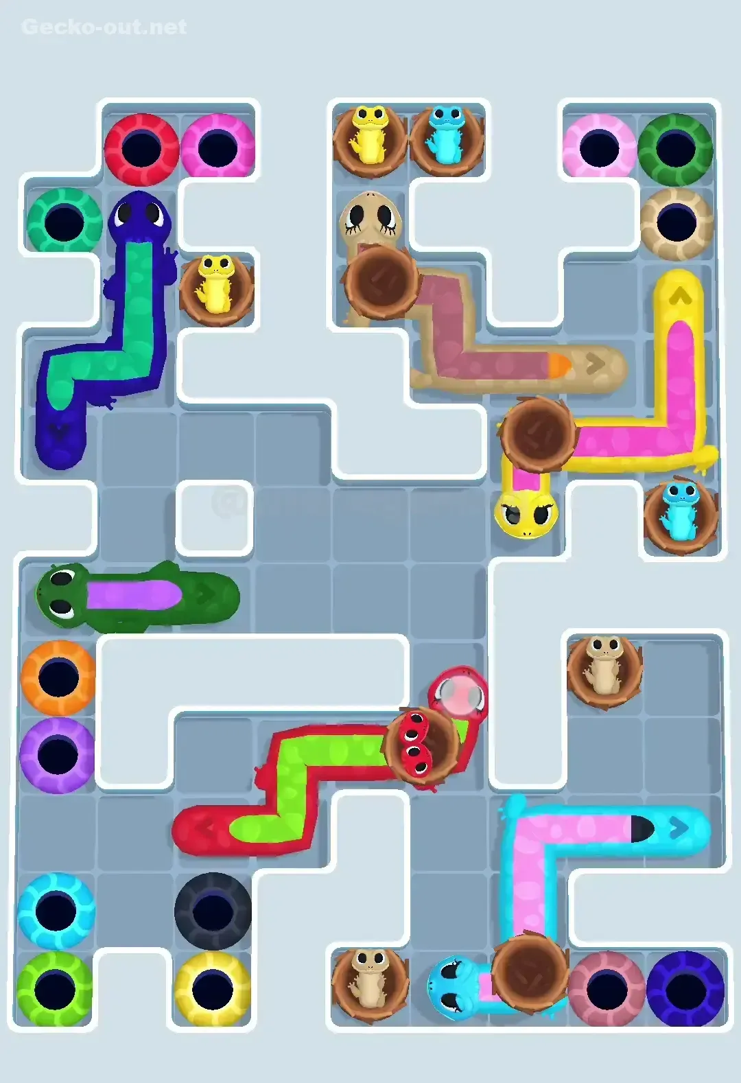 Gecko Out Level 602 Solution 1