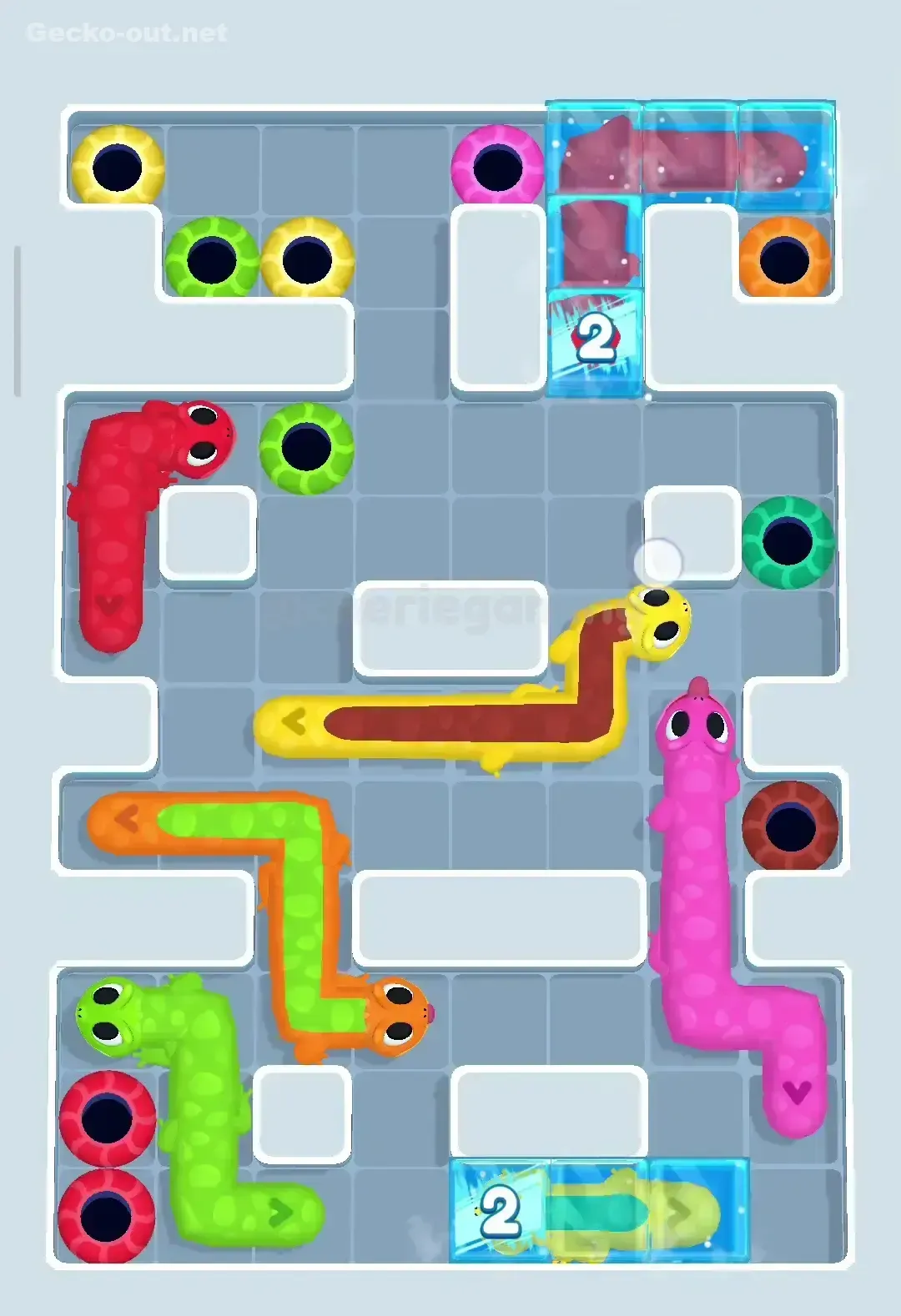 Gecko Out Level 20 Solution 2