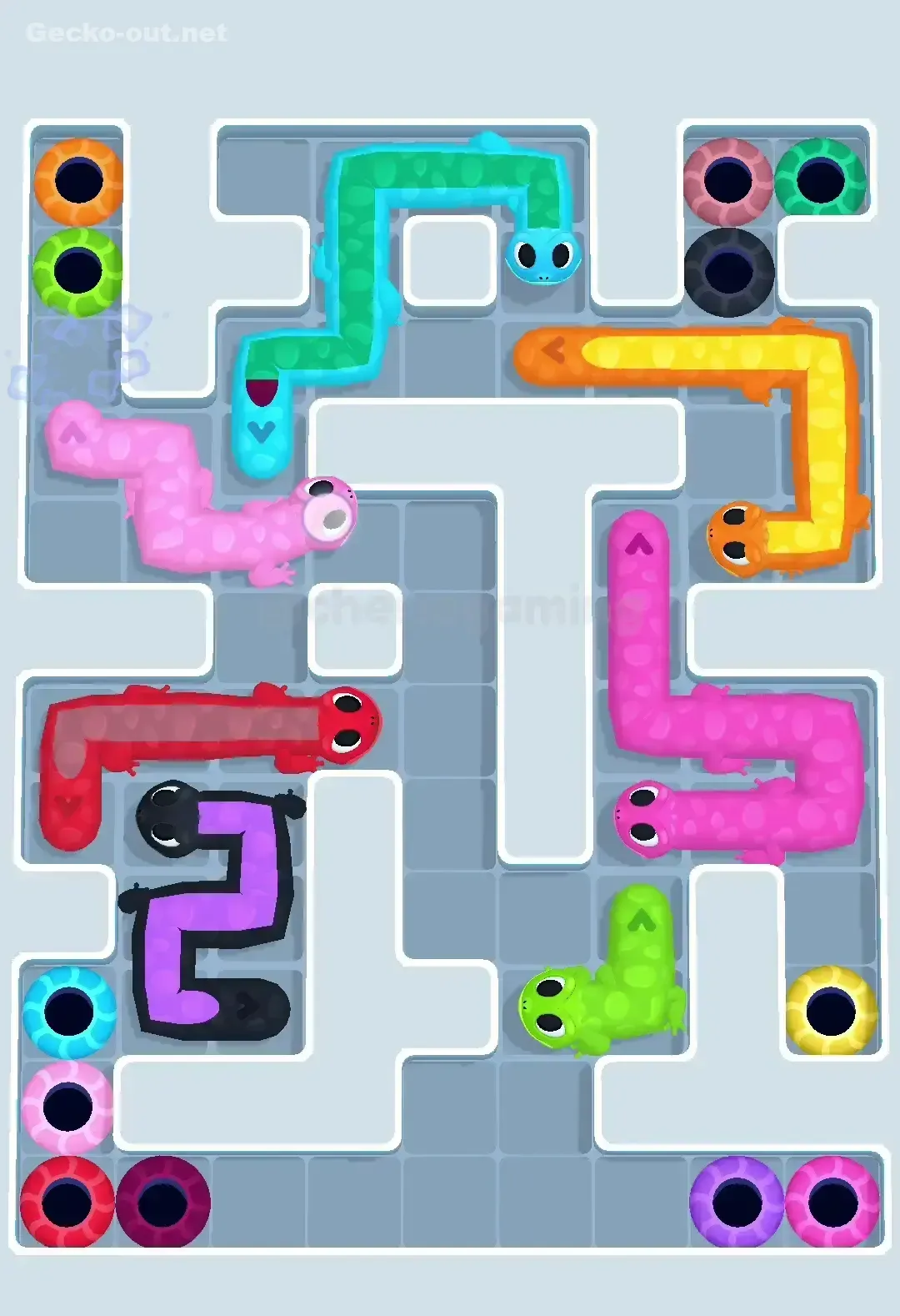 Gecko Out Level 572 Solution 3