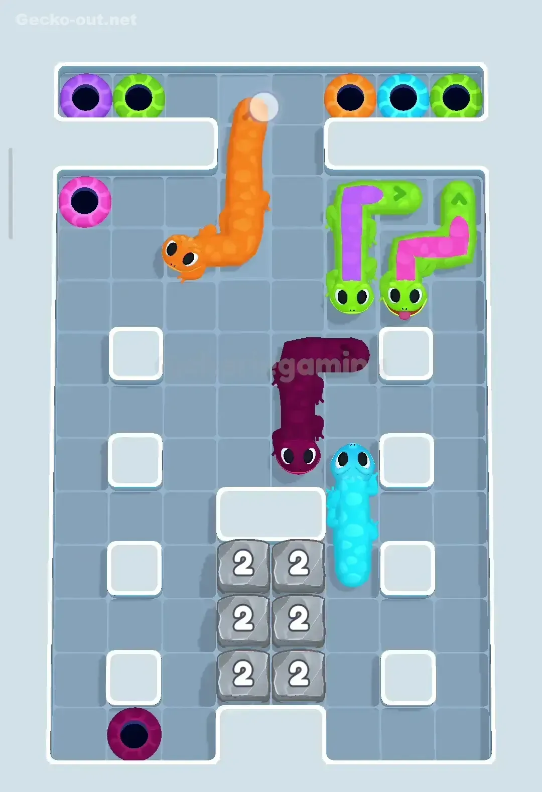 Gecko Out Level 40 Solution 3
