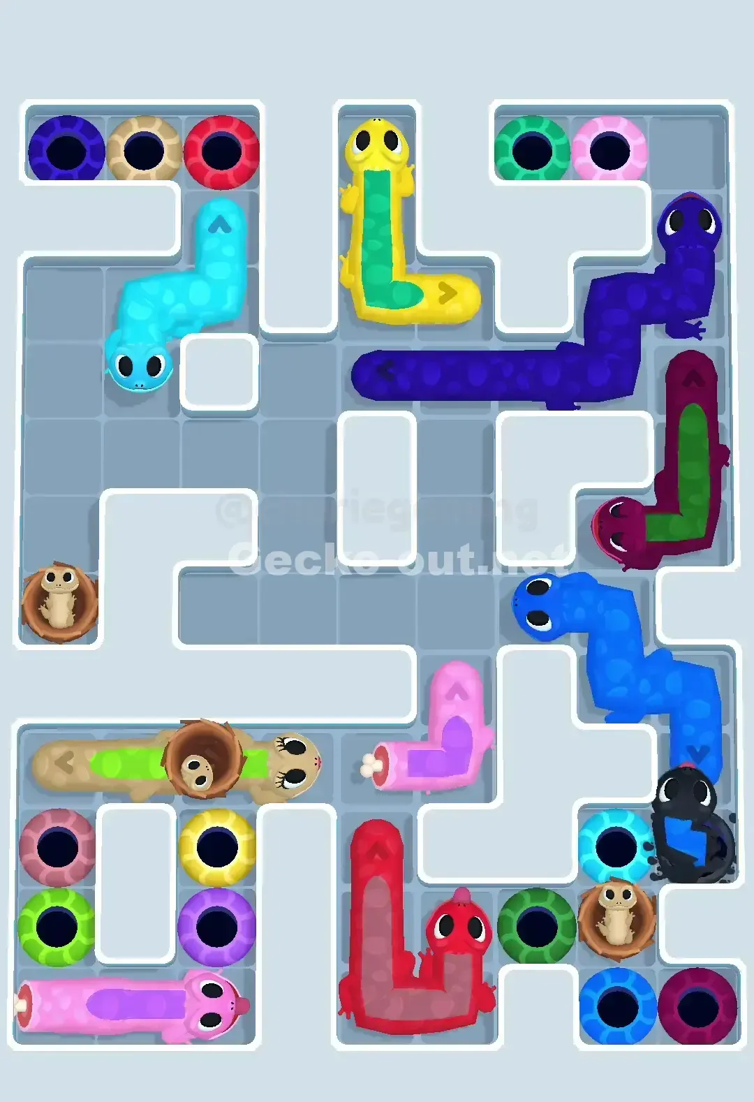 Gecko Out Level 647 Solution 1