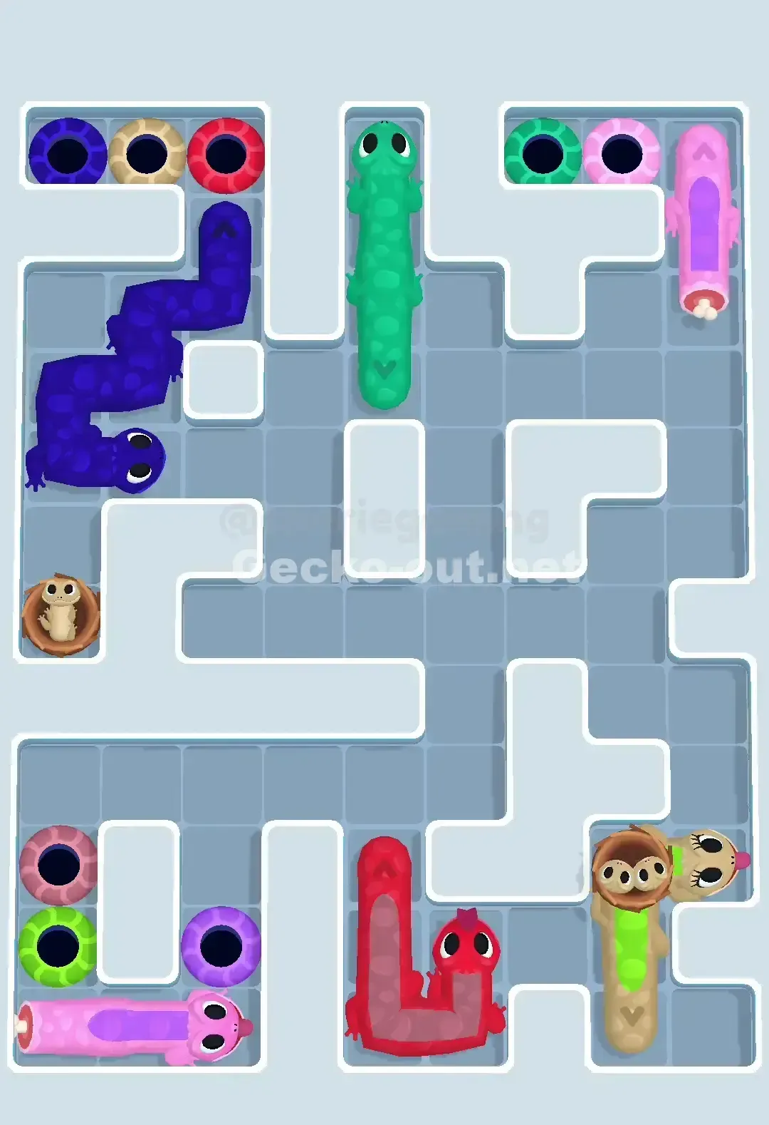 Gecko Out Level 647 Solution 2