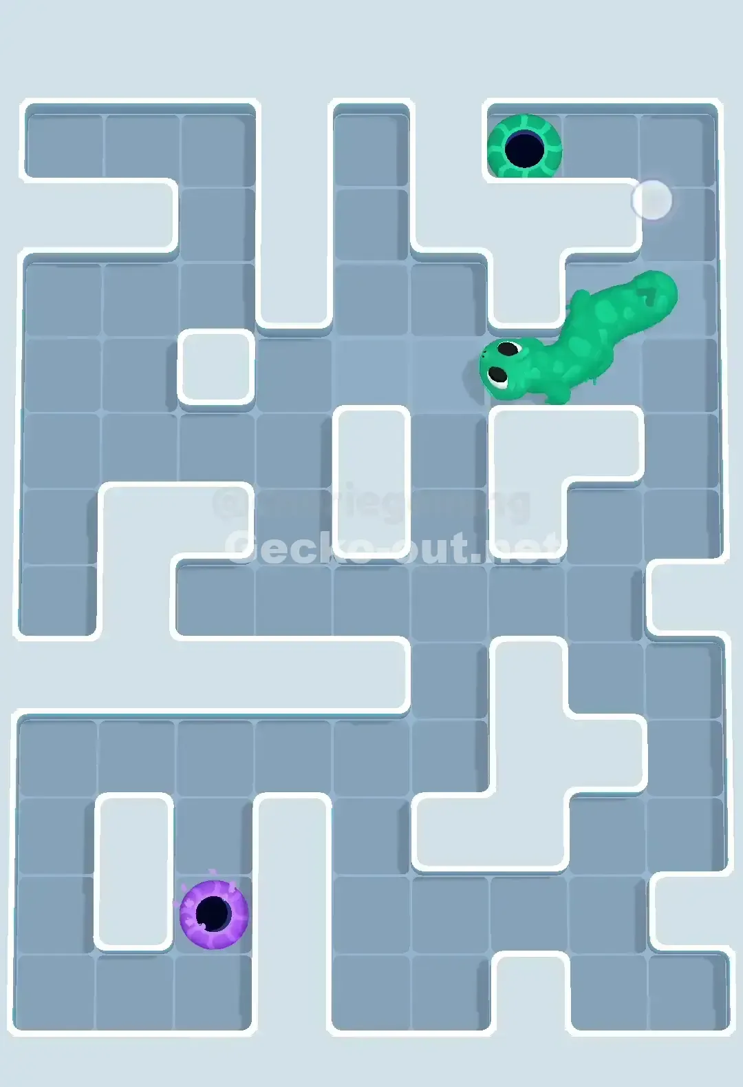 Gecko Out Level 647 Solution 3