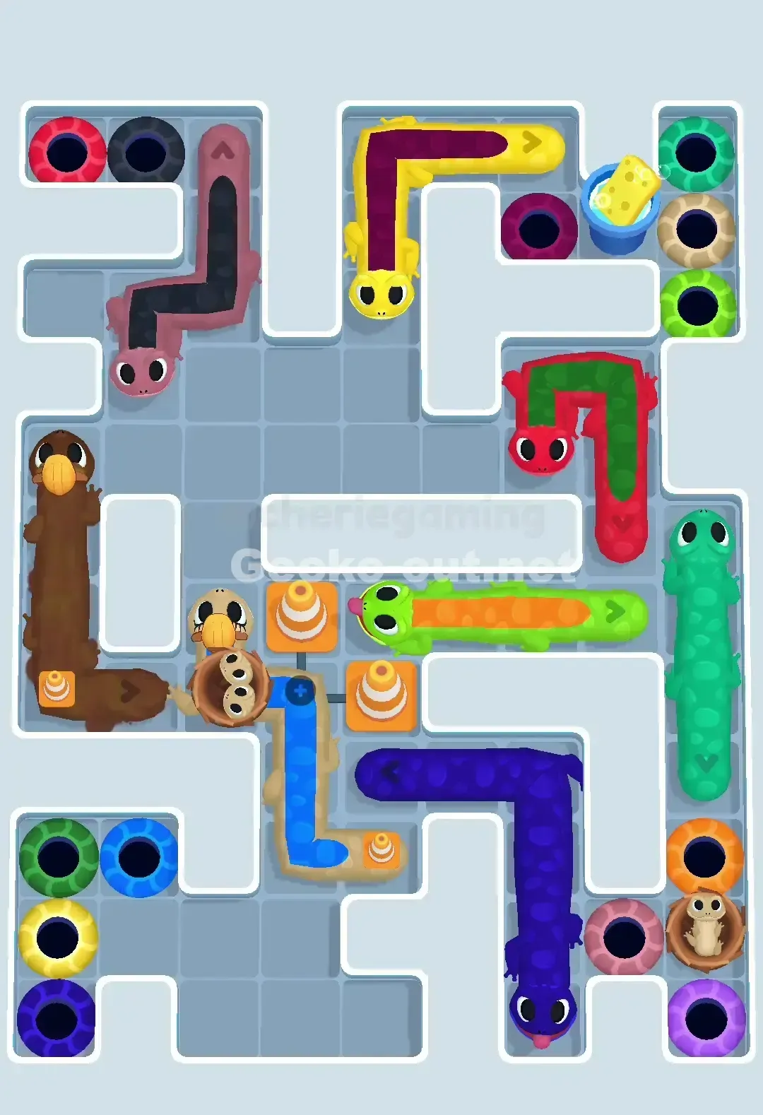 Gecko Out Level 650 Solution 1