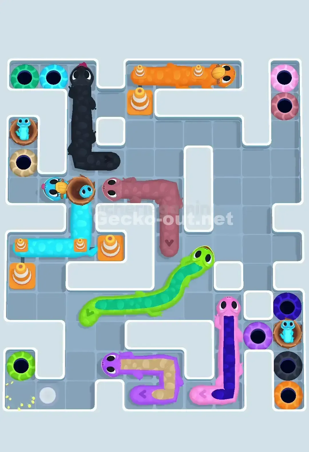 Gecko Out Level 651 Solution 2