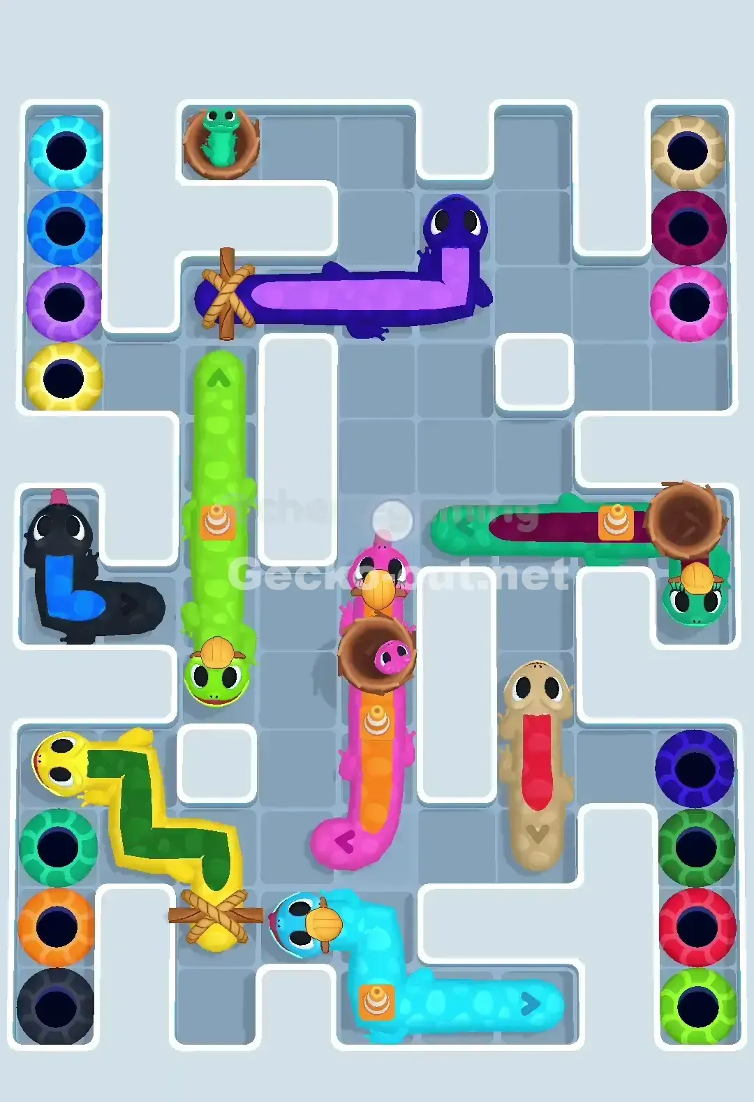 Gecko Out Level 653 Solution 1